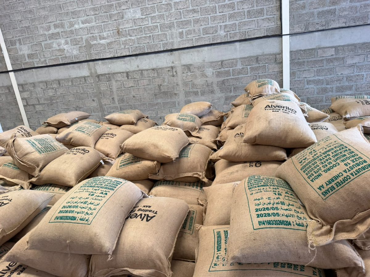Rows of green coffee bags in the warehouse