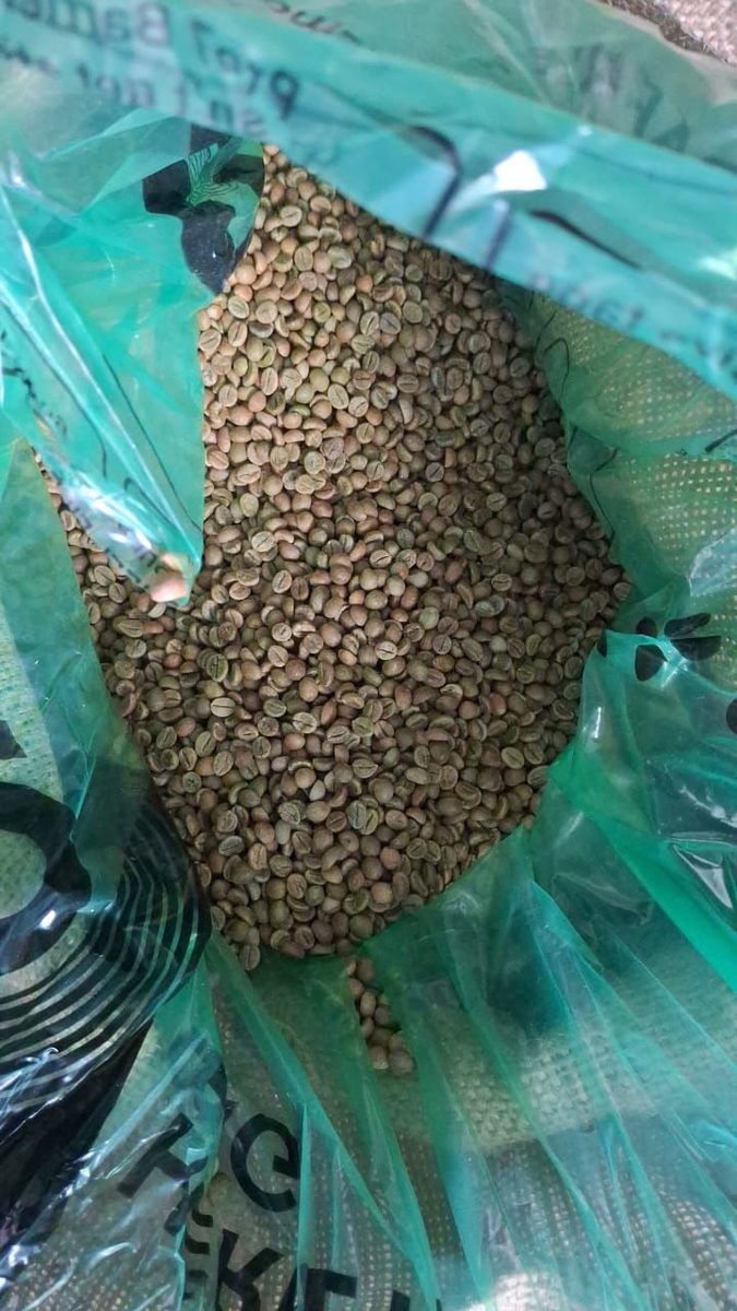 Green coffee beans in a drawn sample bag