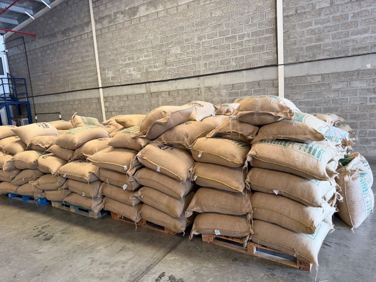 Green coffee pallets ready for loading